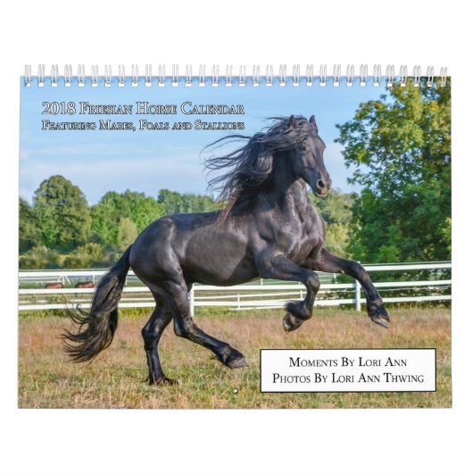 2018 Friesian Mare, Foal and Stallion Calendar Kalender (Hoes)