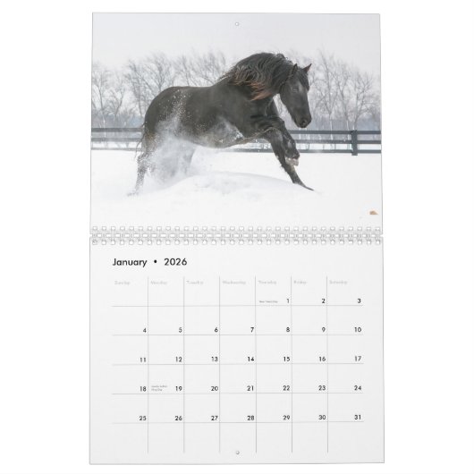 2018 Friesian Mare, Foal and Stallion Calendar Kalender (Jan 2026)