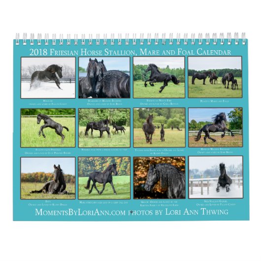 2018 Friesian Mare, Foal and Stallion Calendar Kalender (Achterkant)
