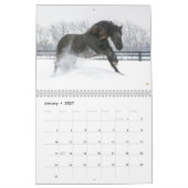 2018 Friesian Mare, Foal and Stallion Calendar Kalender (Jan 2027)