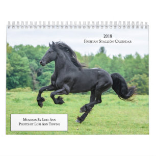 2018 Friesian Stallion Calendar Kalender
