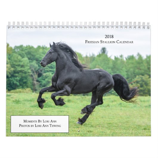 2018 Friesian Stallion Calendar Kalender (Hoes)
