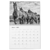 2018 Friesian Stallion Calendar Kalender (Mar 2027)