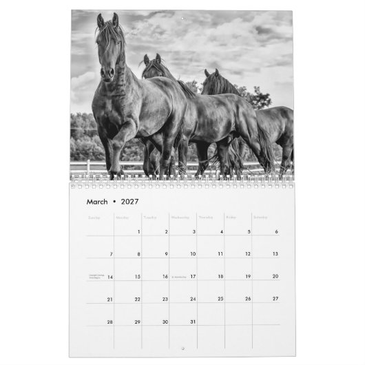 2018 Friesian Stallion Calendar Kalender (Mar 2027)