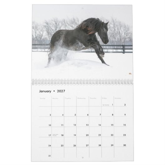 2018 Friesian Stallion Calendar Kalender (Jan 2027)
