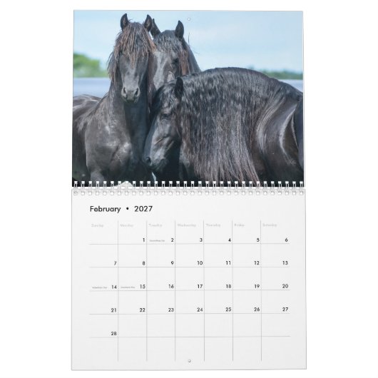 2018 Friesian Stallion Calendar Kalender (Feb 2027)