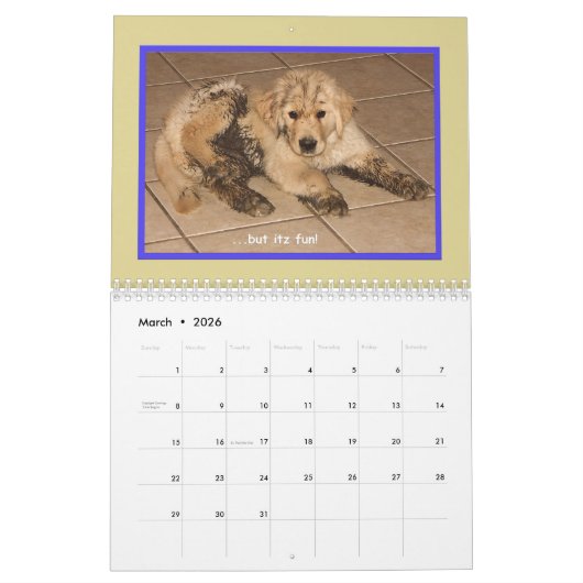 2018 Golden Retriever Puppy Calendar Kalender (Mar 2026)