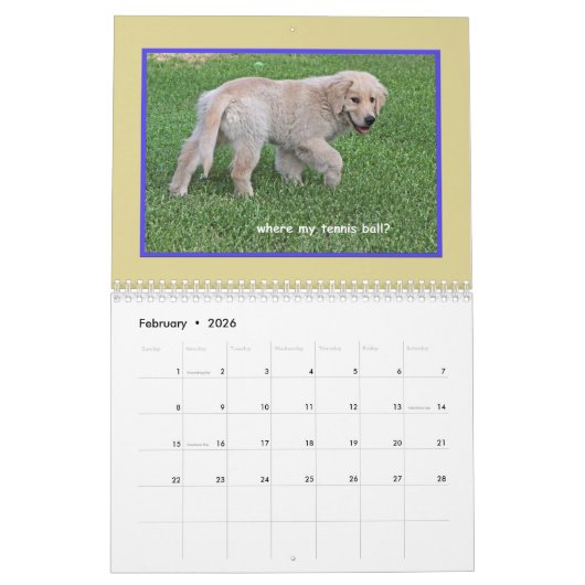 2018 Golden Retriever Puppy Calendar Kalender (Feb 2026)