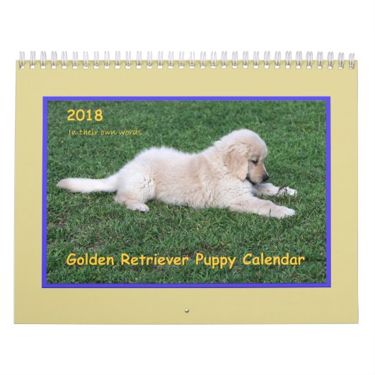 2018 Golden Retriever Puppy Calendar Kalender (Hoes)