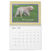 2018 Golden Retriever Puppy Calendar Kalender (Feb 2027)