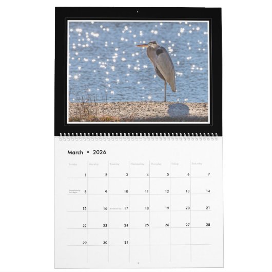2018 Great Blue Heron Calendar van Thomas Minutolo Kalender (Mar 2026)