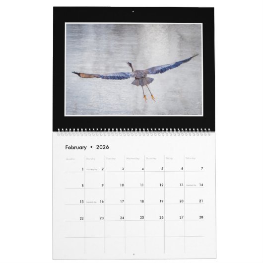 2018 Great Blue Heron Calendar van Thomas Minutolo Kalender (Feb 2026)