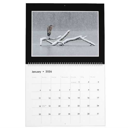 2018 Great Blue Heron Calendar van Thomas Minutolo Kalender (Jan 2026)