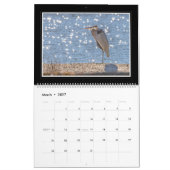 2018 Great Blue Heron Calendar van Thomas Minutolo Kalender (Mar 2027)