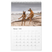 2018 Het beste van honden! Agenda Kalender (Feb 2026)