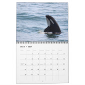 2018 Kalender voor de walvis van de Zuidelijke Ing (Mar 2027)