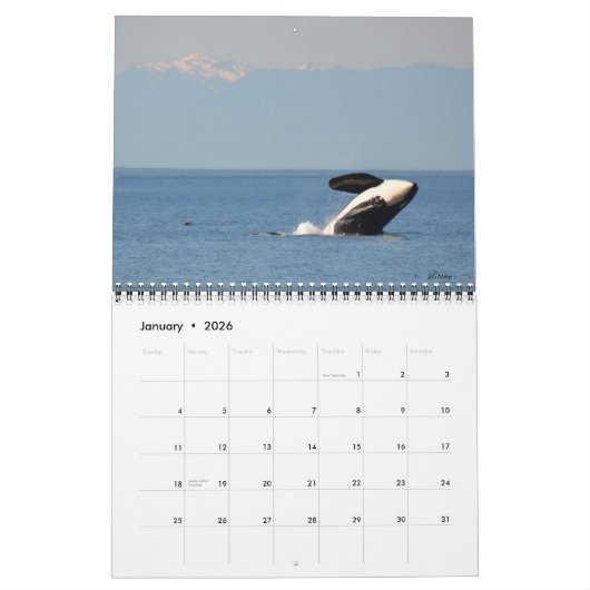 2018 Kalender voor de walvis van de Zuidelijke Ing (Jan 2026)