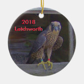 2018 Keramisch Ornament Letchworth (Voorkant)
