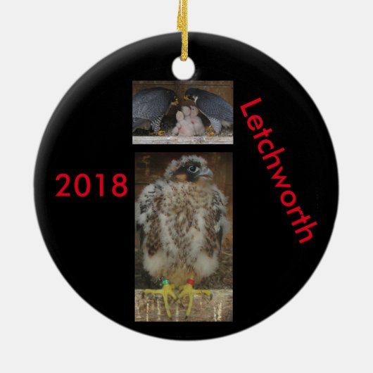 2018 Keramisch Ornament Letchworth (Achterkant)