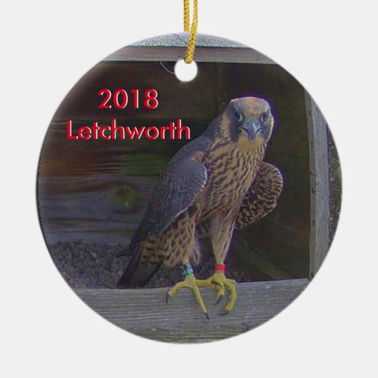 2018 Keramische Versiering Letchworth Keramisch Ornament (Voorkant)