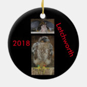 2018 Keramische Versiering Letchworth Keramisch Ornament (Achterkant)