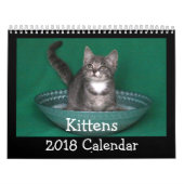 2018 Kitten Agenda Kalender (Hoes)