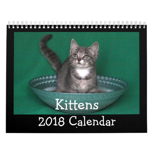 2018 Kitten Agenda Kalender (Hoes)