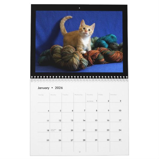 2018 Kitten Agenda Kalender (Jan 2026)