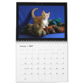 2018 Kitten Agenda Kalender (Jan 2027)