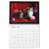 2018 Kitten Agenda Kalender (Feb 2027)