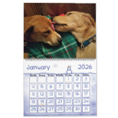 2018 Leeloo & Winston Large 2 Page Calendar Kalender (Jan 2026)