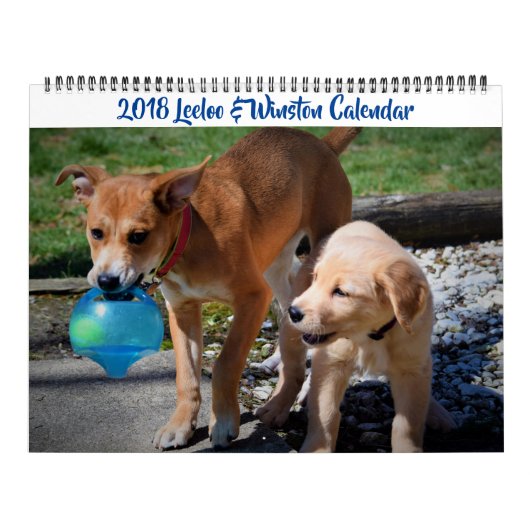 2018 Leeloo & Winston Large 2 Page Calendar Kalender (Hoes)