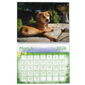 2018 Leeloo & Winston Large 2 Page Calendar Kalender (Mar 2026)