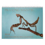 2018 Mantidforum.net Wall Agenda Kalender (Hoes)