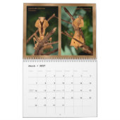 2018 Mantidforum.net Wall Agenda Kalender (Mar 2027)