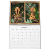 2018 Mantidforum.net Wall Calendar (Alternatief) Kalender (Mar 2027)