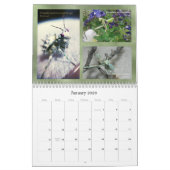 2018 Mantidforum.net Wall Calendar (Alternatief) Kalender (Jan 2026)