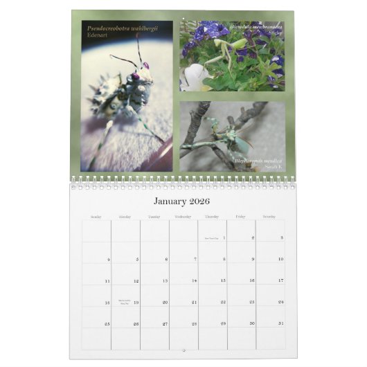 2018 Mantidforum.net Wall Calendar (Alternatief) Kalender (Jan 2026)