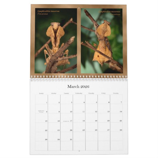 2018 Mantidforum.net Wall Calendar (Alternatief) Kalender (Mar 2026)