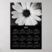 2018 Muurkalender Afrikaanse Madeliefje Poster