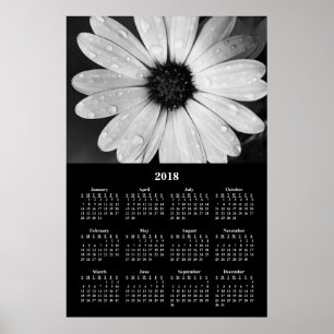 2018 Muurkalender Afrikaanse Madeliefjes Poster