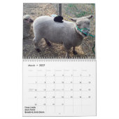 2018 NABSSAR Babydoll Southdown schaapkalender Kalender (Mar 2027)