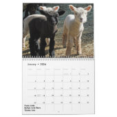 2018 NABSSAR Babydoll Southdown schaapkalender Kalender (Jan 2026)
