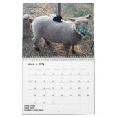2018 NABSSAR Babydoll Southdown schaapkalender Kalender (Mar 2026)