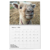 2018 NABSSAR Babydoll Southdown schaapkalender Kalender (Feb 2026)