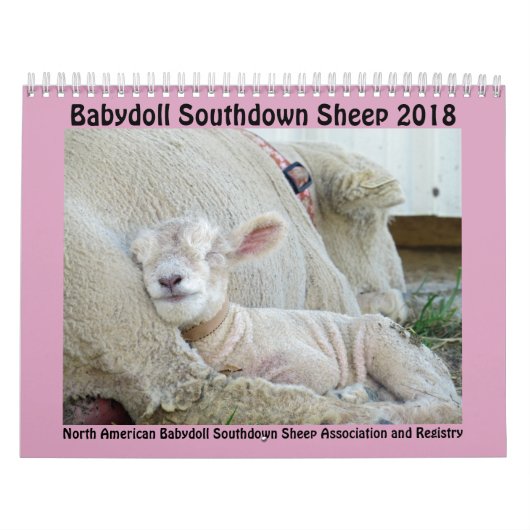 2018 NABSSAR Babydoll Southdown schaapkalender Kalender (Hoes)