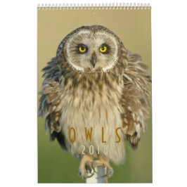 2018 Owl Lovers Wall Calendar Kalender