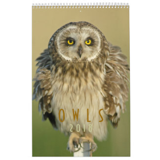 2018 Owl Lovers Wall Calendar Kalender