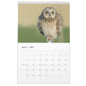 2018 Owl Lovers Wall Calendar Kalender (Mar 2027)