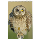 2018 Owl Lovers Wall Calendar Kalender (Hoes)